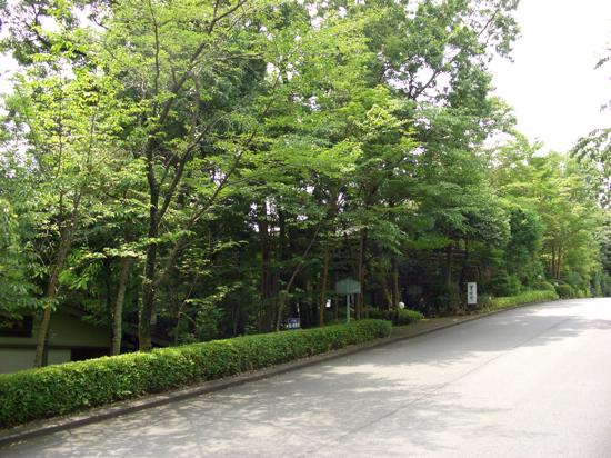 b-hanafubuki-1.jpg