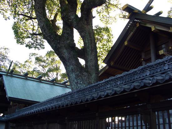 furusato-kani-7.jpg