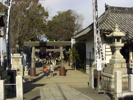furusato-kanie-ee.jpg
