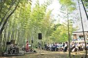 2017年4月 佐倉「竹林コンサート」