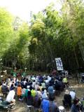 2017年4月 佐倉「竹林コンサート」