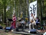 2017年4月 佐倉「竹林コンサート」