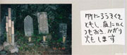 199708okuribi-02s.jpg