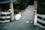 1998kanie01_s.jpg