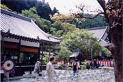 1999yoshino_honzenji01_s.jpg
