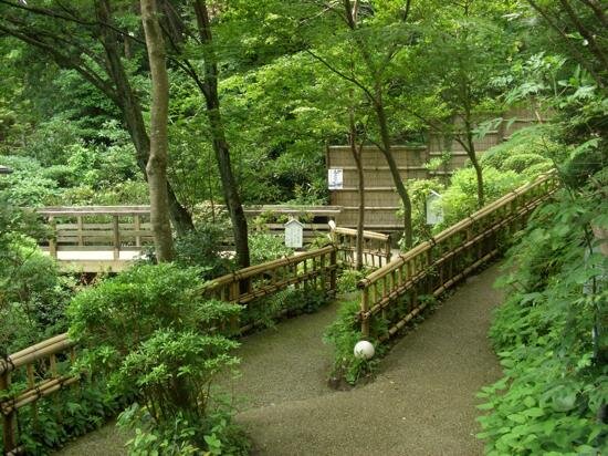 2014年7月21日（月） 定例・伊豆高原「花吹雪」コンサート